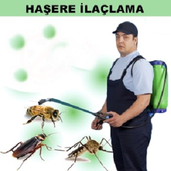 Bekilli Böcek İlaçlama